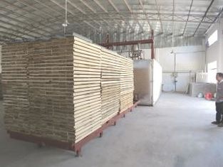 Stabiles Thermo behandeltes Bauholz, 80000 Kcal/H Hitze, die Holz im Ofen behandelt