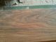 Stabiles Brennofen-Holz-Schnittholz, raues gesägtes Bauholz fertigen Grad der Größen-A besonders an